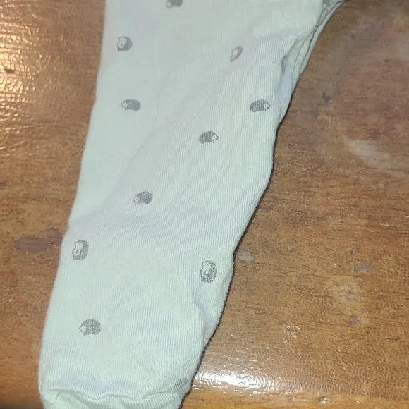 2/$5 Light Mint Footed Baby One-Piece with Footies Featuring Hedgehogs - Picture 6 of 6